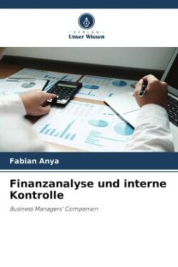 Finanzanalyse und interne Kontrolle