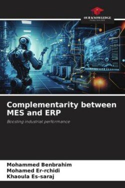 Complementarity between MES and ERP