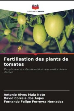 Fertilisation des plants de tomates