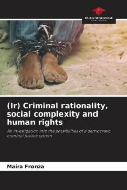 (Ir) Criminal rationality, social complexity and human rights