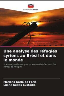 analyse des r�fugi�s syriens au Br�sil et dans le monde