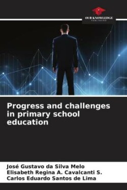 Progress and challenges in primary school education