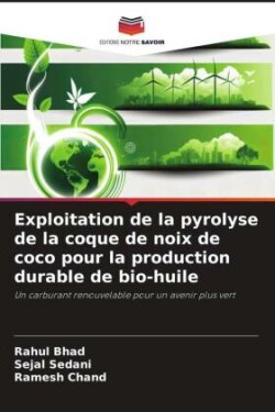 Exploitation de la pyrolyse de la coque de noix de coco pour la production durable de bio-huile