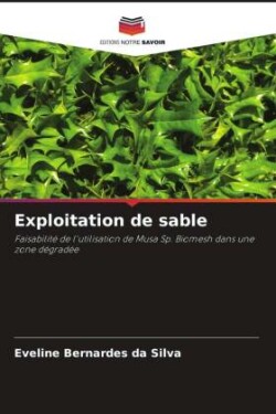 Exploitation de sable