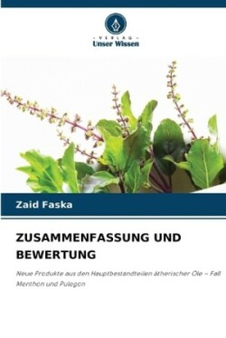 Zusammenfassung Und Bewertung