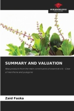 Summary and Valuation