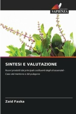 Sintesi E Valutazione