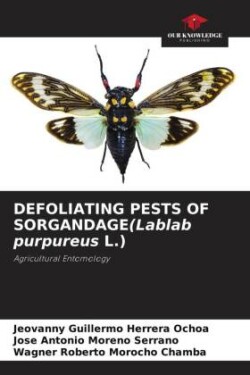 DEFOLIATING PESTS OF SORGANDAGE(Lablab purpureus L.)