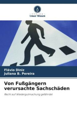 Von Fußgängern verursachte Sachschäden