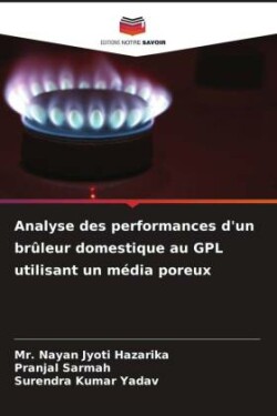 Analyse des performances d'un brûleur domestique au GPL utilisant un média poreux