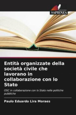 Entità organizzate della società civile che lavorano in collaborazione con lo Stato