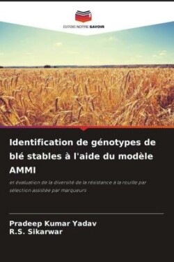 Identification de génotypes de blé stables à l'aide du modèle AMMI