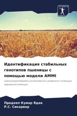 Идентификация стабильных генотипов пшен&