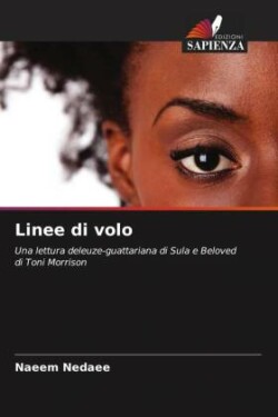 Linee di volo