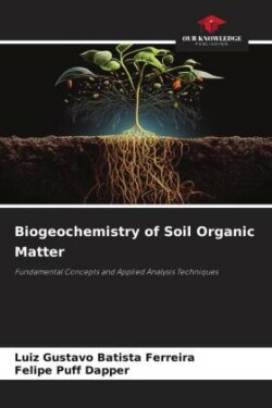 Biogeochemistry of Soil Organic Matter