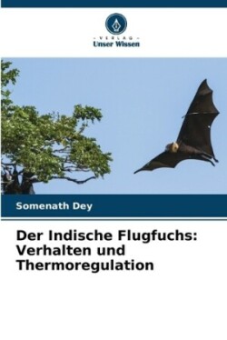 Indische Flugfuchs