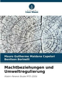 Machtbeziehungen und Umweltregulierung