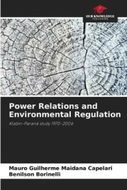 Power Relations and Environmental Regulation