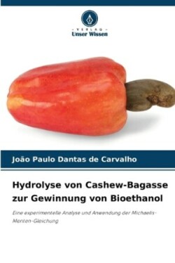 Hydrolyse von Cashew-Bagasse zur Gewinnung von Bioethanol