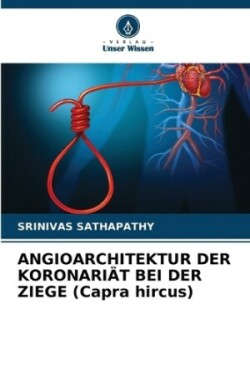 ANGIOARCHITEKTUR DER KORONARIÄT BEI DER ZIEGE (Capra hircus)