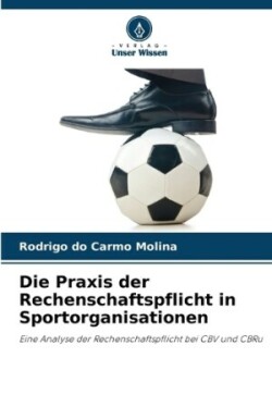 Praxis der Rechenschaftspflicht in Sportorganisationen