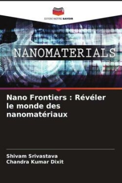 Nano Frontiers