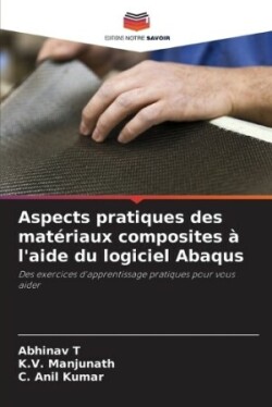 Aspects pratiques des matériaux composites à l'aide du logiciel Abaqus