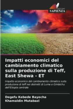 Impatti economici del cambiamento climatico sulla produzione di Teff, East Shewa - ET
