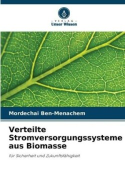 Verteilte Stromversorgungssysteme aus Biomasse