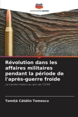 Révolution dans les affaires militaires pendant la période de l'après-guerre froide