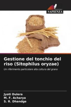 Gestione del tonchio del riso (Sitophilus oryzae)