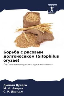 Борьба с рисовым долгоносиком (Sitophilus oryzae)