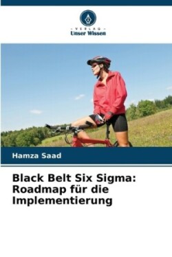 Black Belt Six Sigma