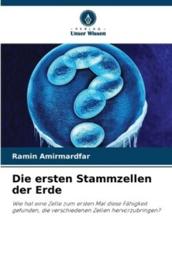 ersten Stammzellen der Erde