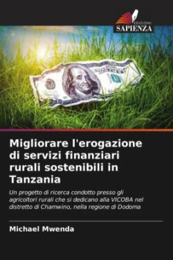 Migliorare l'erogazione di servizi finanziari rurali sostenibili in Tanzania