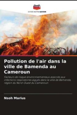 Pollution de l'air dans la ville de Bamenda au Cameroun