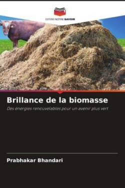 Brillance de la biomasse