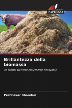 Brillantezza della biomassa