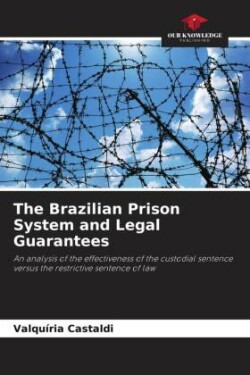 Brazilian Prison System and Legal Guarantees