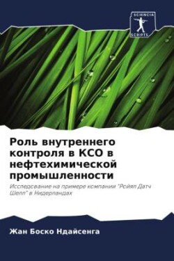 Роль внутреннего контроля в КСО в нефтехи&#108