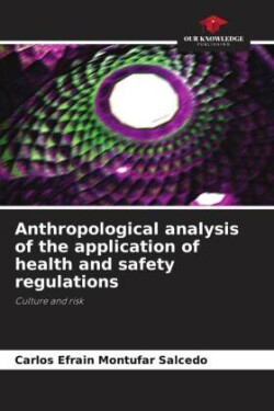 Anthropological analysis of the application of health and safety regulations