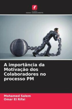 importância da Motivação dos Colaboradores no processo PM