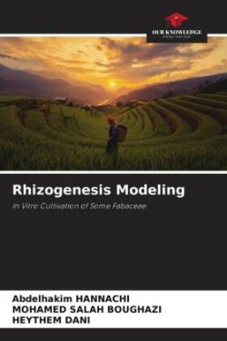 Rhizogenesis Modeling