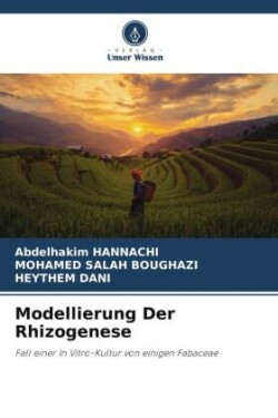 Modellierung Der Rhizogenese