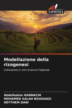 Modellazione della rizogenesi