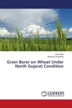 Grain Borer on Wheat Under North Gujarat Condition