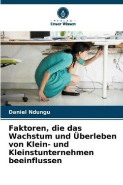 Faktoren, die das Wachstum und Überleben von Klein- und Kleinstunternehmen beeinflussen