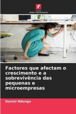 Factores que afectam o crescimento e a sobrevivência das pequenas e microempresas