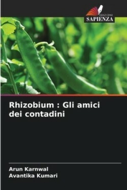 Rhizobium