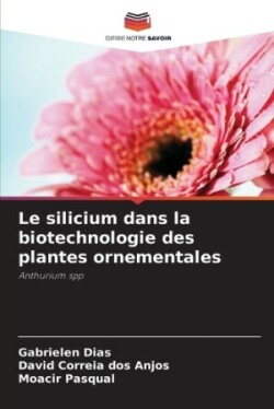 silicium dans la biotechnologie des plantes ornementales